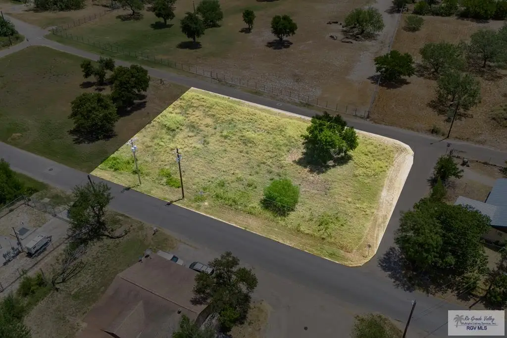 931 S Garza Ave., La Joya, TX 78560 - #1