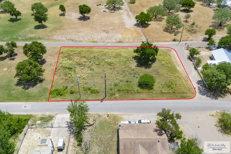 931 S Garza Ave., La Joya, TX 78560 - #3