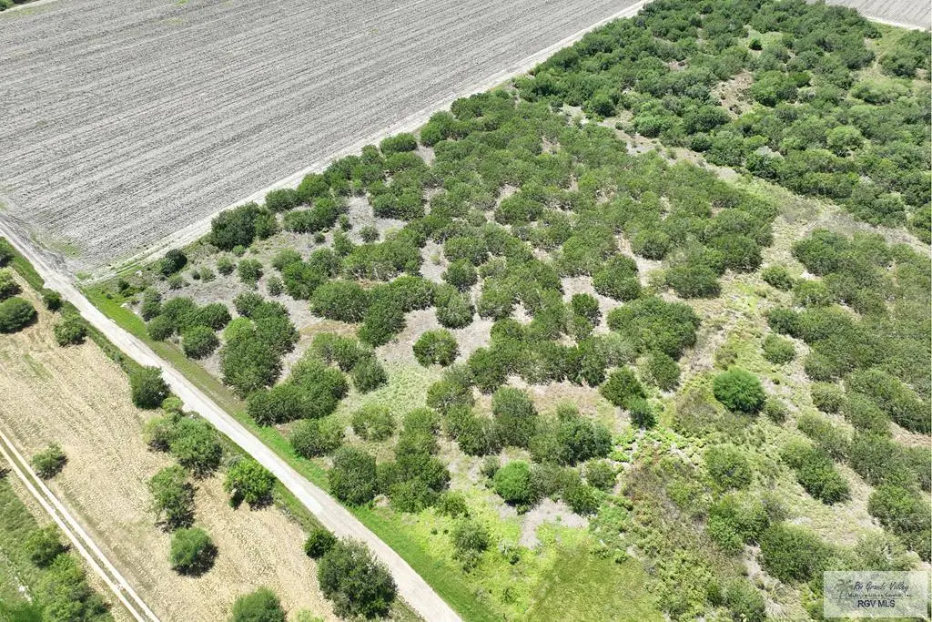 Address Withheld By Seller, San Benito, TX 78586 - Image #1