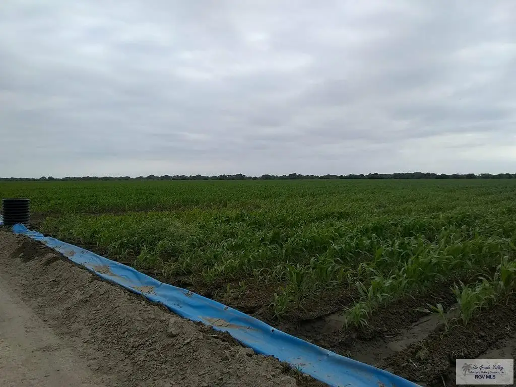 0 Cannon St, Santa Maria, TX 78592 - Image #1