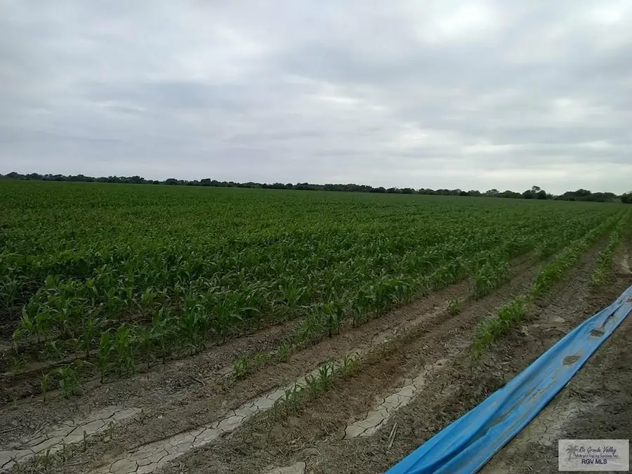 0 Cannon St, Santa Maria, TX 78592 - Image #2