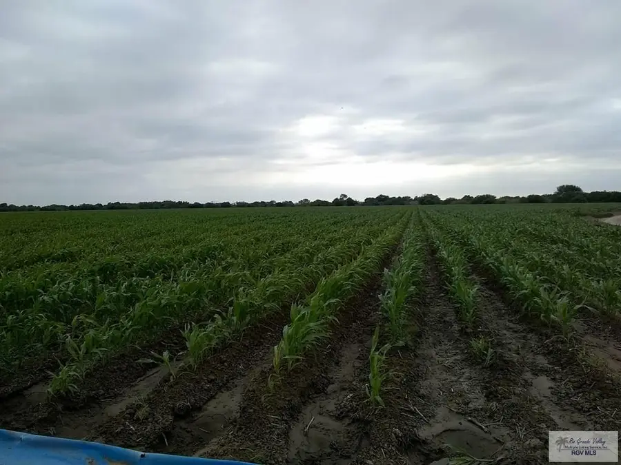 0 Cannon St, Santa Maria, TX 78592 - Image #3