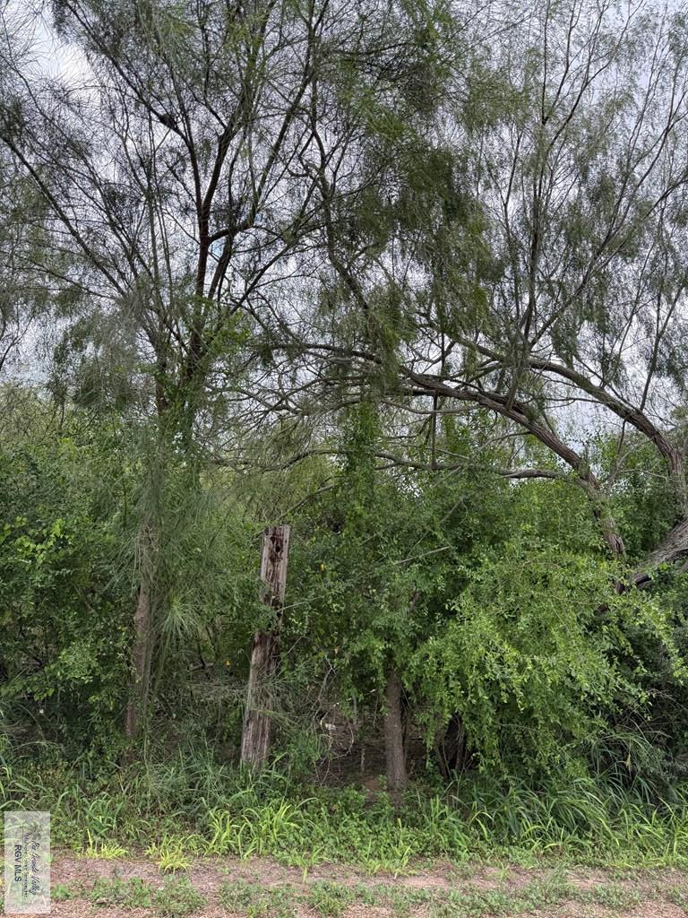 10 acres Barlow Rd., San Benito, TX 78586 - Image #2