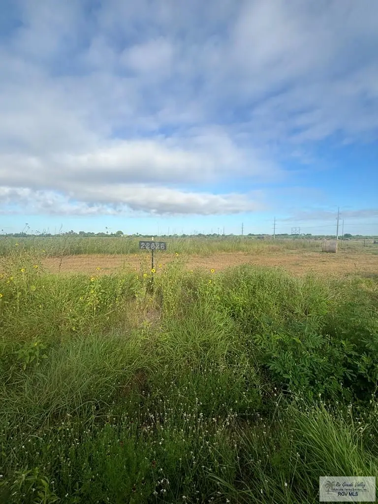 10.029 ACRES Louisiana Rd., La Feria, TX 78559 - Image #3