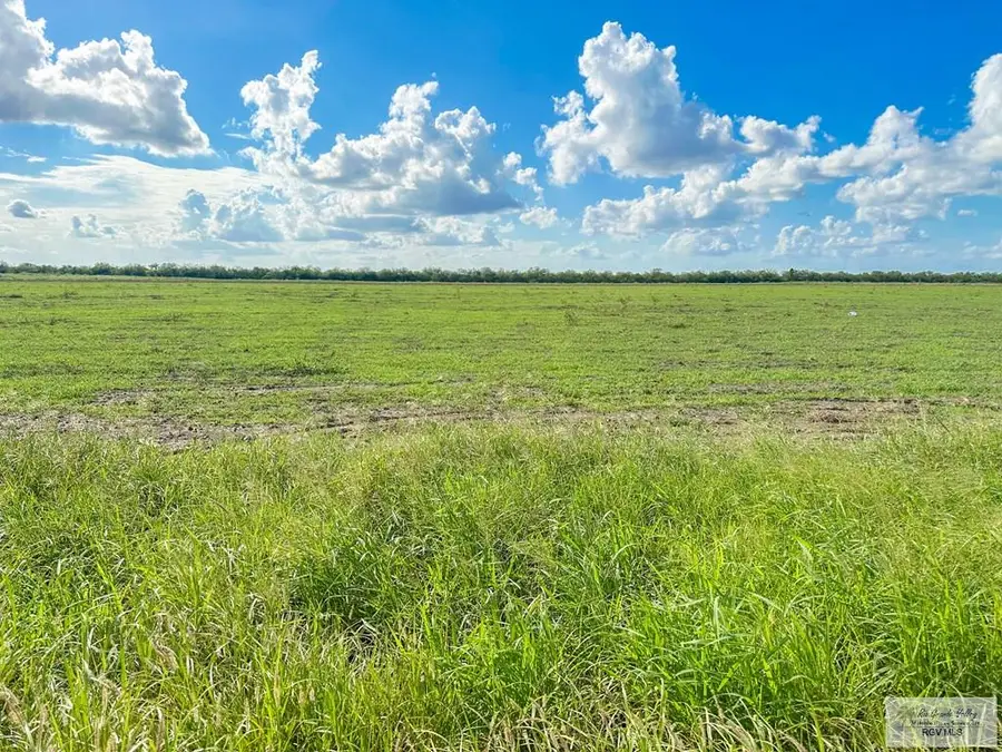 10.04 Acres N Fm 2556, La Feria, TX 78559 - #3
