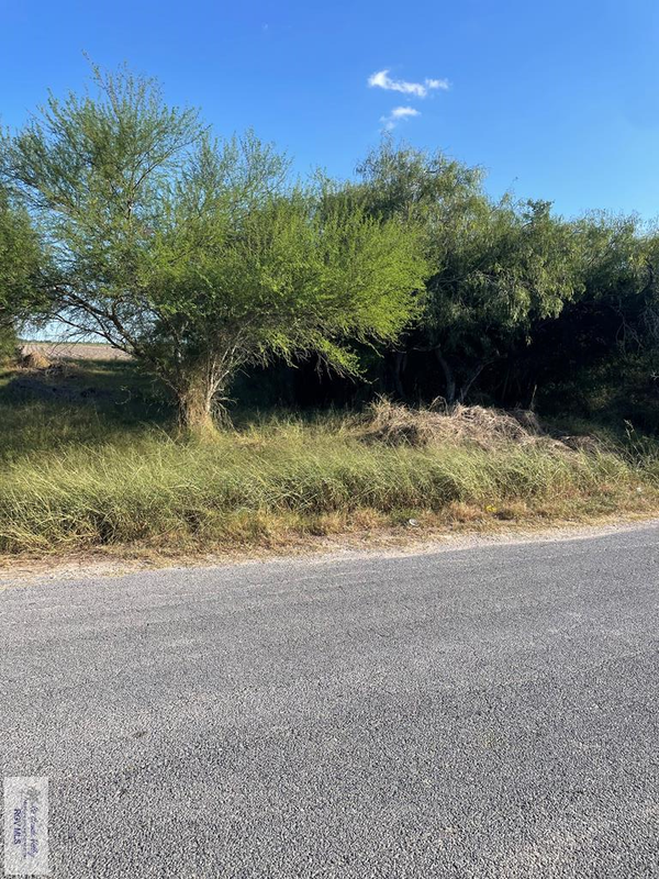 00 Irene St. #24 & 25, SAN BENITO, TX 78586