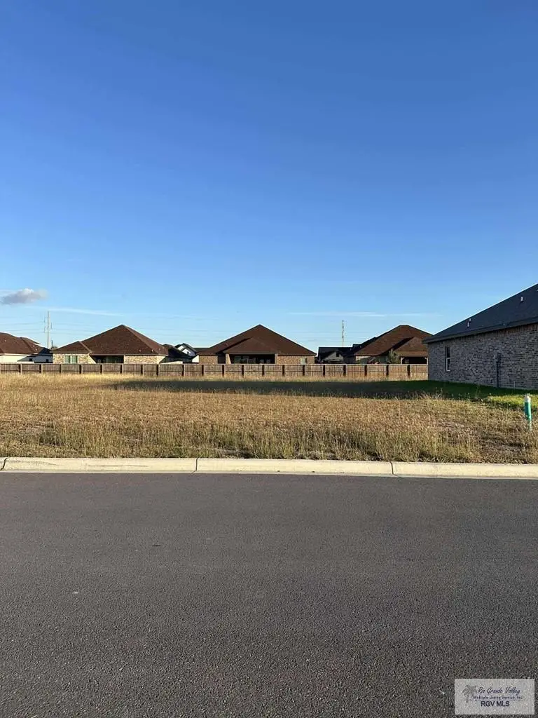 00 Napper Ln, Primera, TX 78552 - Image #2