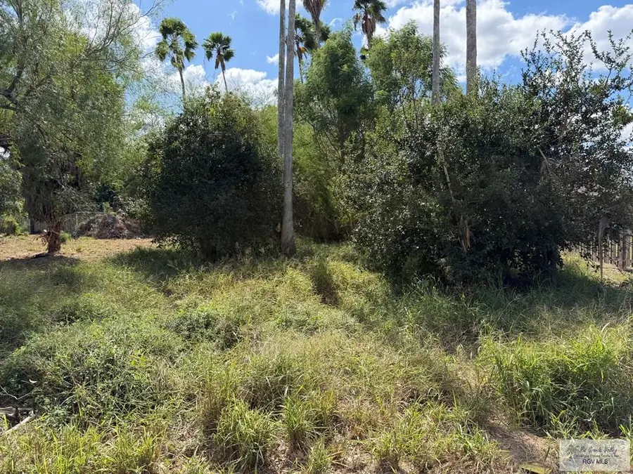 00 Botts Ave, Harlingen, TX 78550 - Image #2
