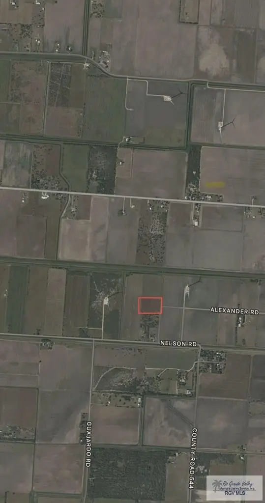 0 Nelson Rd., Rio Hondo, TX 78583 - Image #2