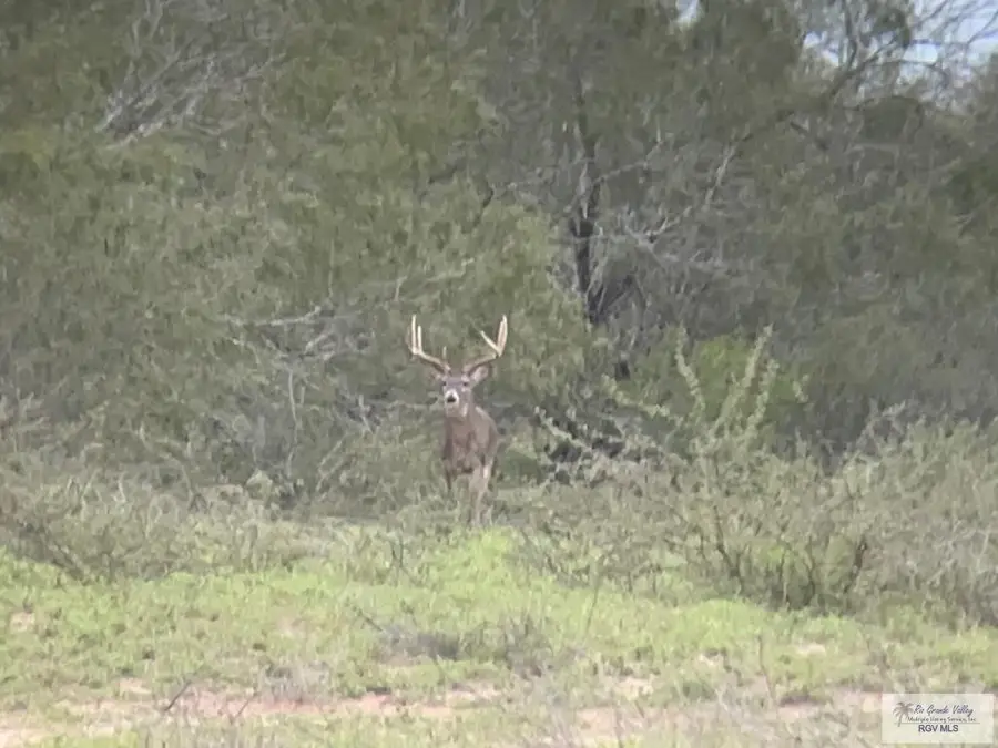 1378 Acres Fm 490, Rincon, TX 78582 - #2