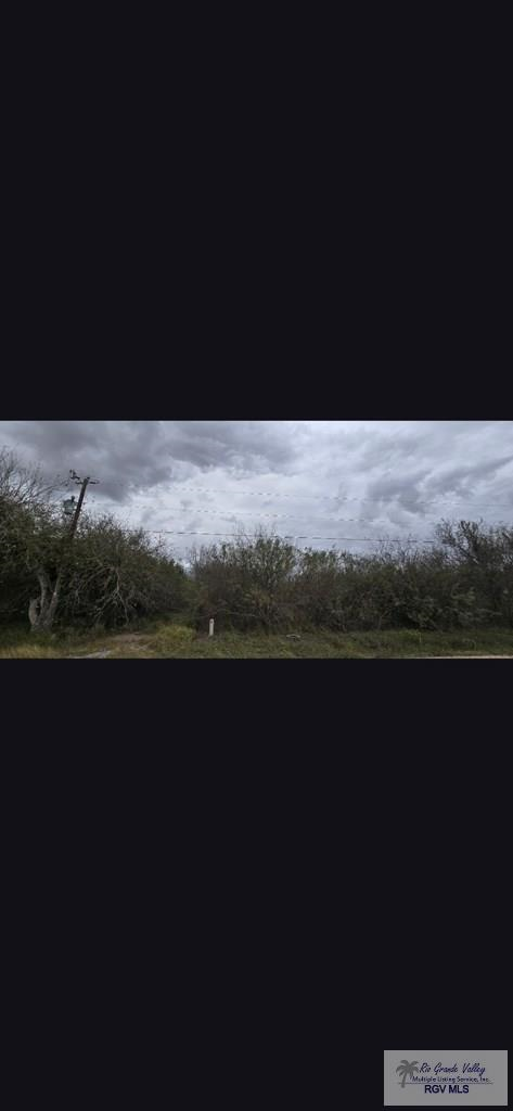 00 Hoening Rd., Harlingen, TX 78550 - Image #2