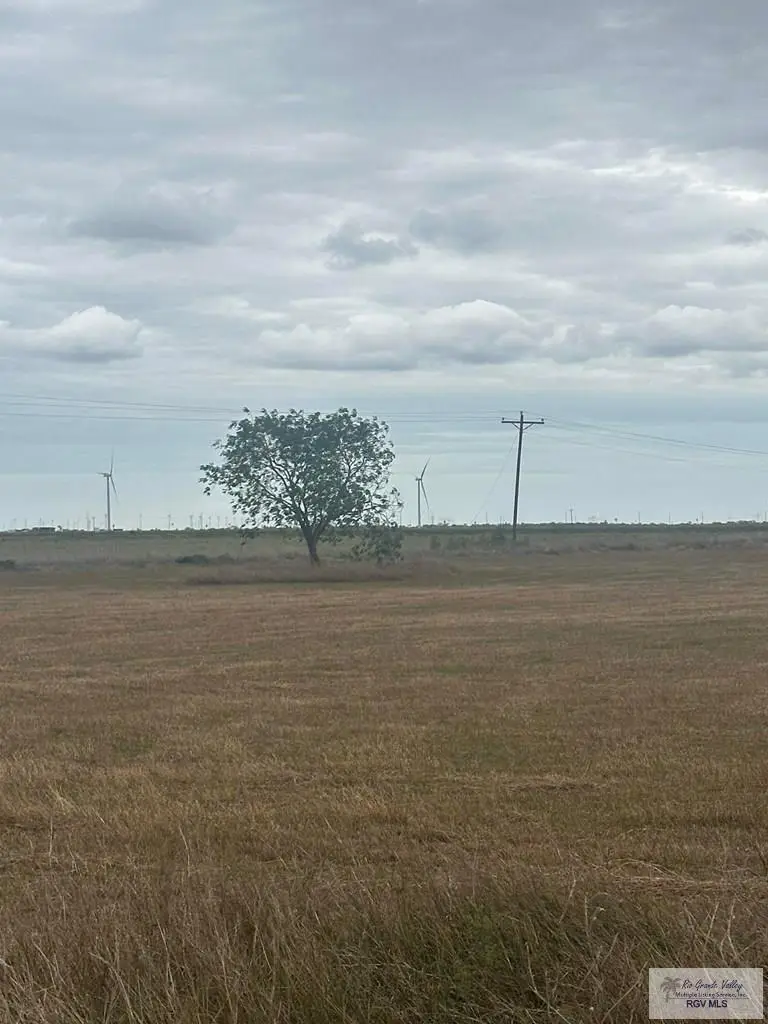 0 Rodriguez Rd., Santa Rosa, TX 78593 - Image #3