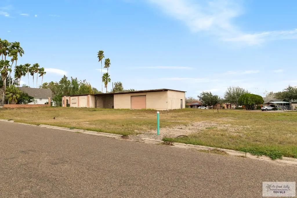 1101 S Willow, La Feria, TX 78559 - #1