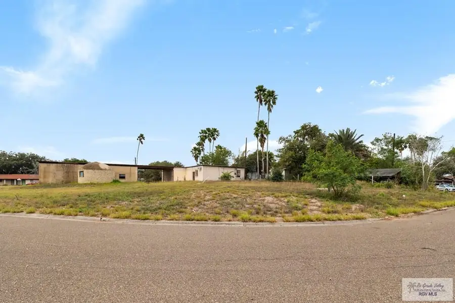 1101 S Willow, La Feria, TX 78559 - #3