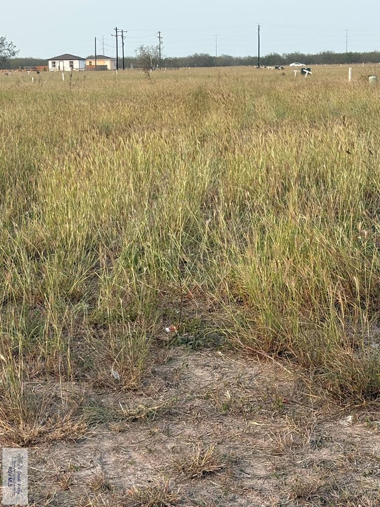 2909 Rita Flores Dr. #LOT  35, San Benito, TX 78586 - Image #2