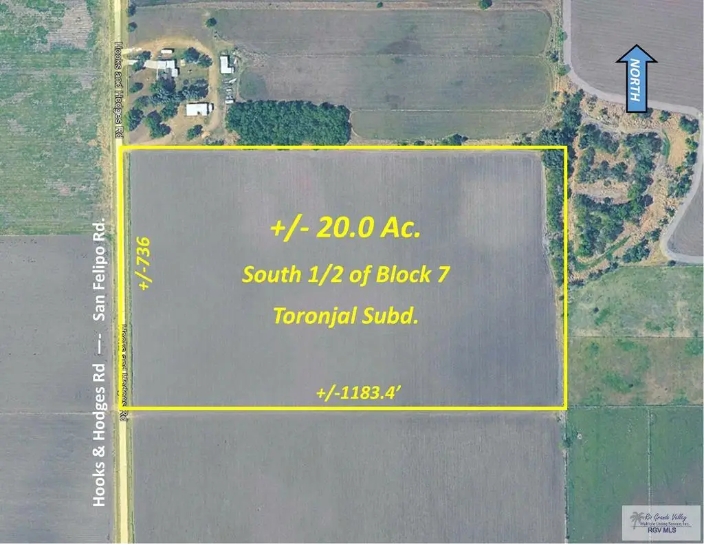 20.0 Acres Hooks & Hodges Rd., Santa Rosa, TX 78593 - #1