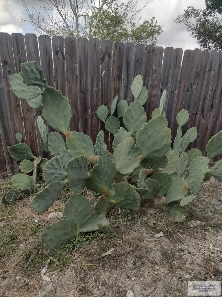 1524 El Astro St., Brownsville, TX 78521 - #3