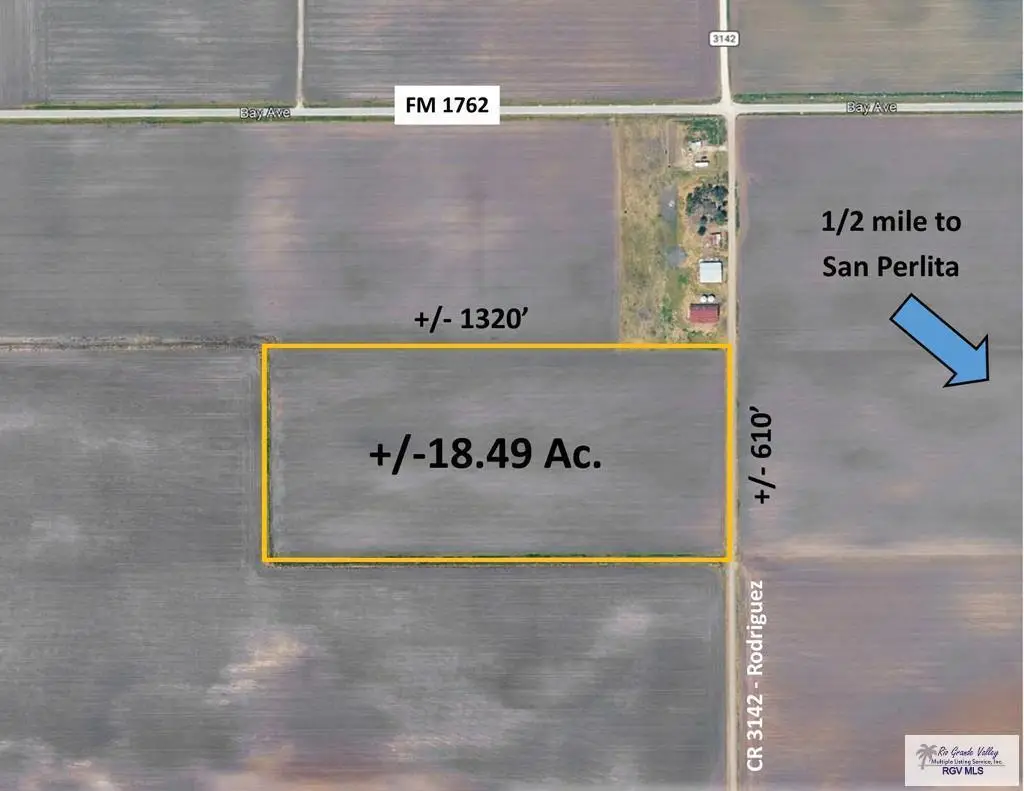 18.49 AC N Cr 353, San Perlita, TX 78590 - #1