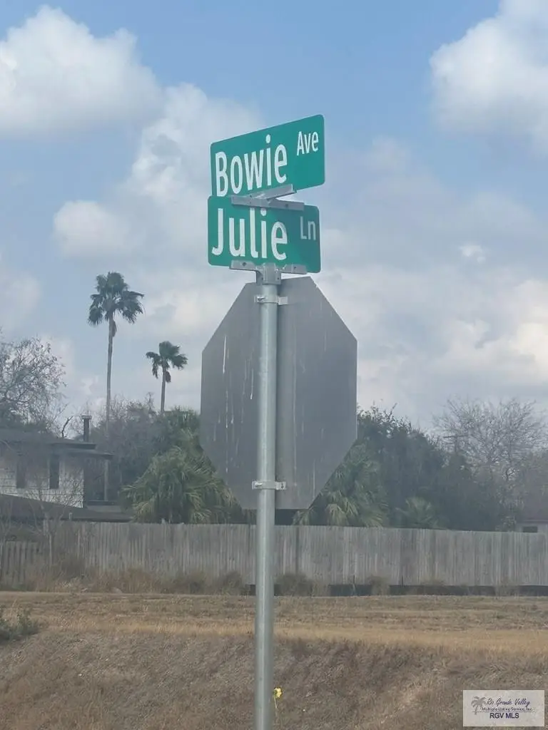 1101 Julie Ln, Harlingen, TX 78550 - #1