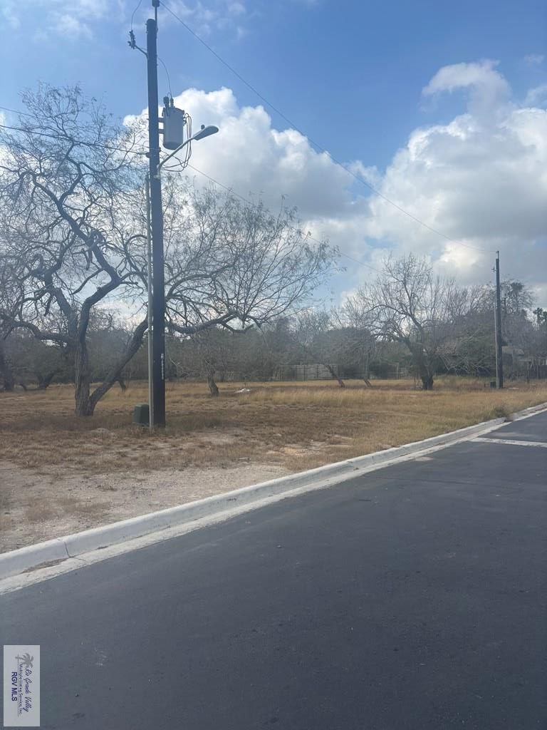 1101 Julie Ln, Harlingen, TX 78550 - #3