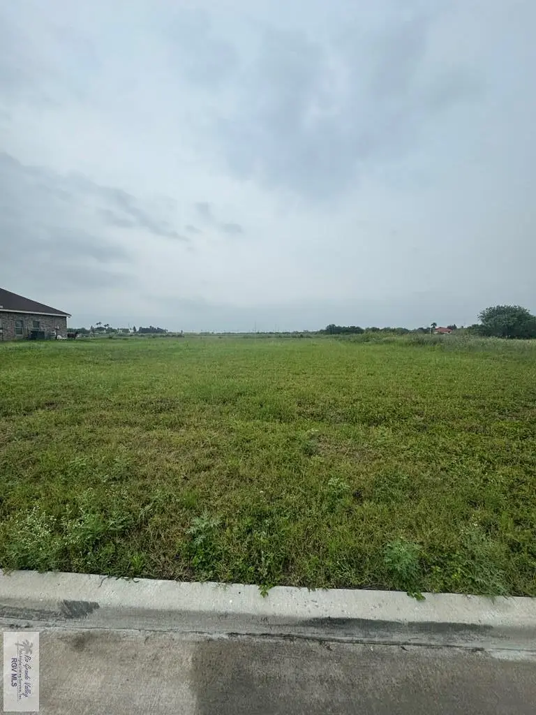 2748 Ponce Ct, Brownsville, TX 78521 - #1