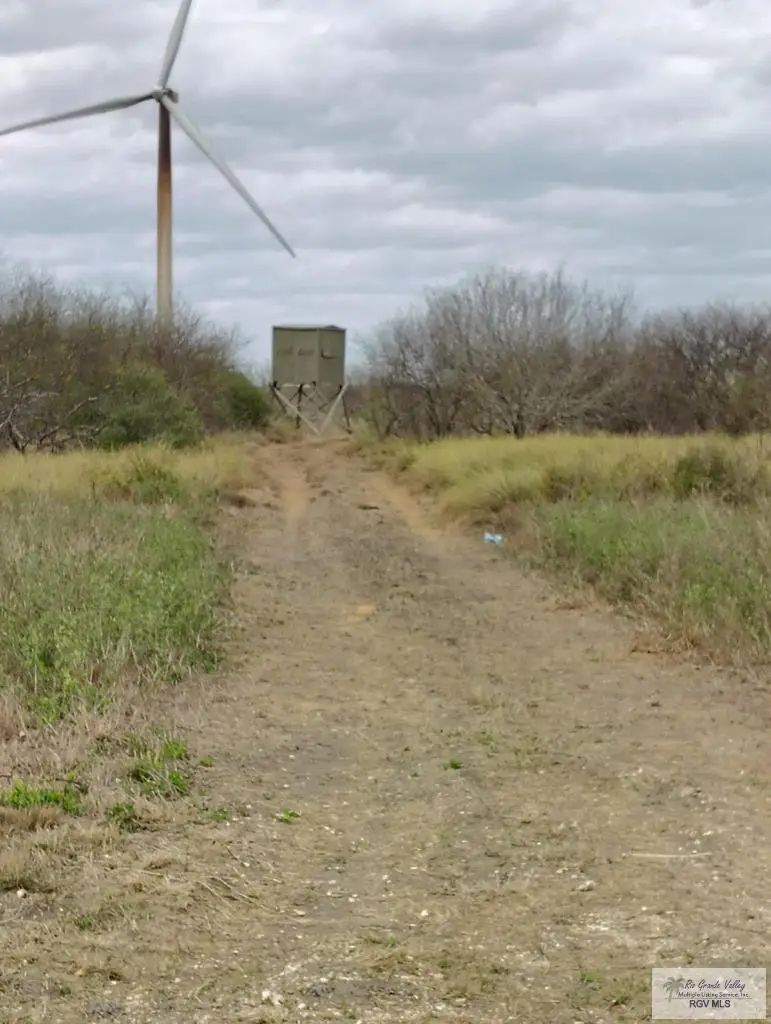 Address Withheld By Seller, Bayview, TX 78566 - #1