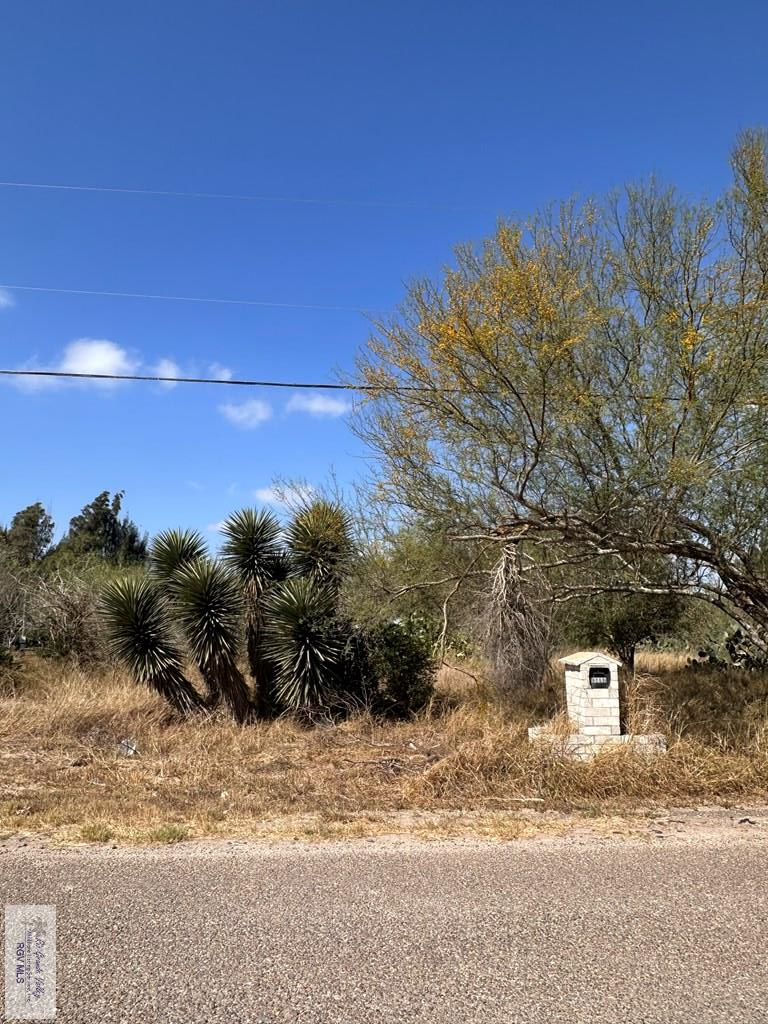 13482 Elias Cir, San Benito, TX 78586 - #3