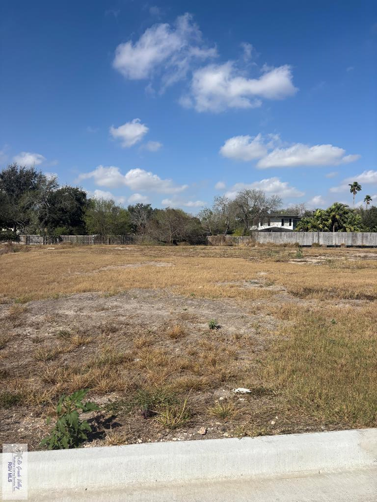 1117 Julie Ln, Harlingen, TX 78550 - #3