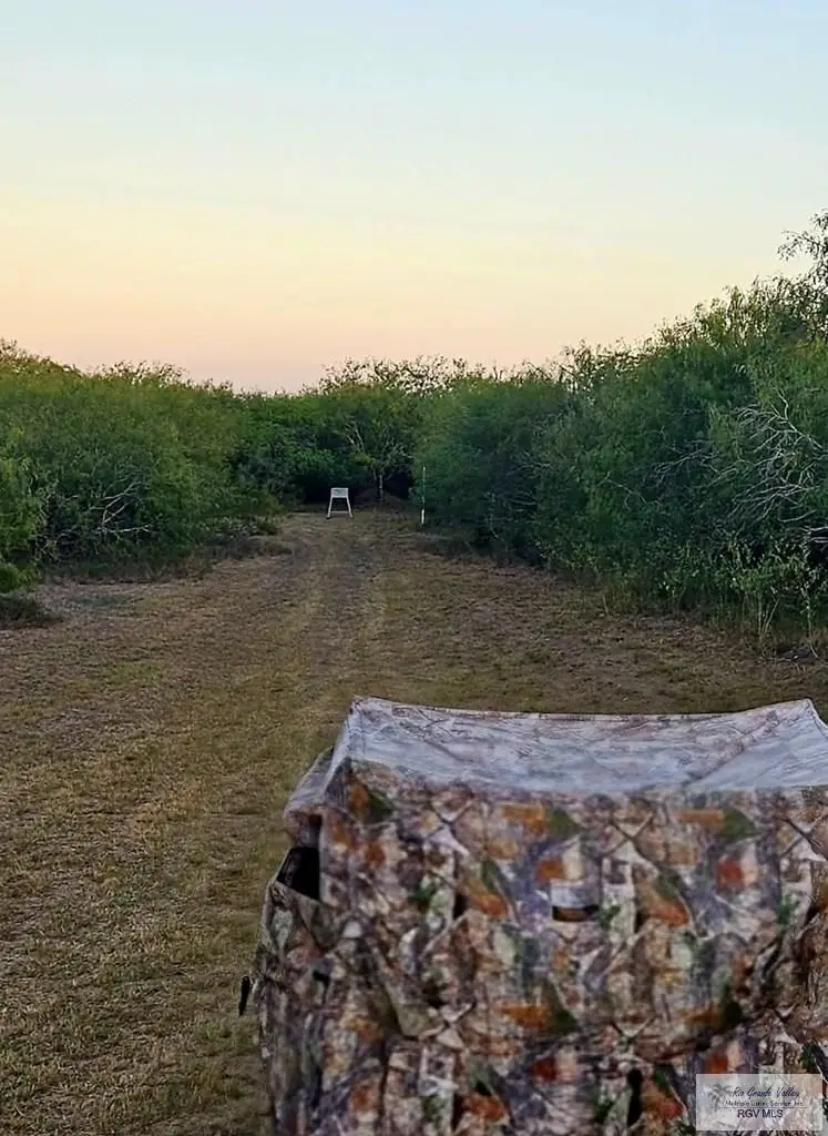 28109 53rd. St., Bayview, TX 78566 - #2