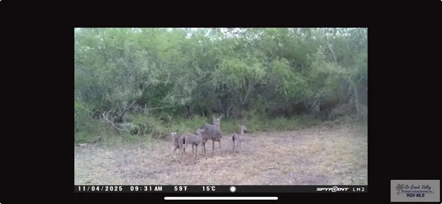 28109 53rd. St., Bayview, TX 78566 - #3