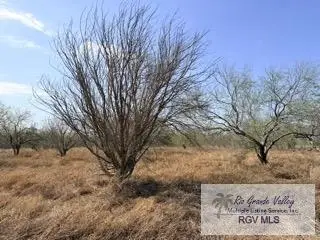 000 Gamble Rd, Harlingen San Benito, TX 78006 - #1