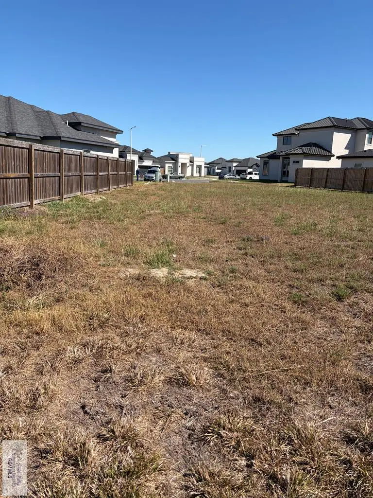 0000 Lulu St, Brownsville, TX 78526 - #3