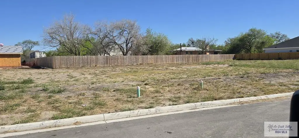 4309 Casamigos St, Harlingen, TX 78550 - #1