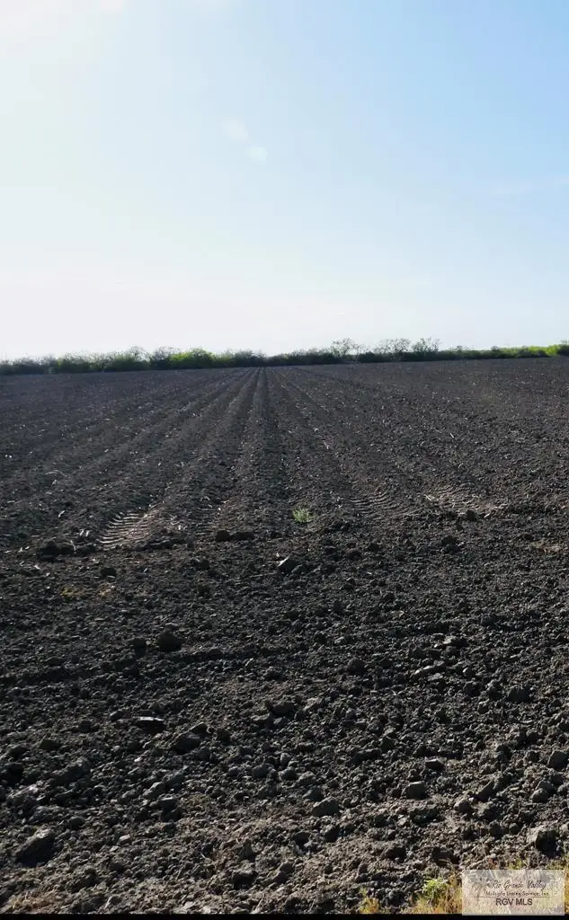 0 San Roman Rd., Bayview, TX 78566 - #2