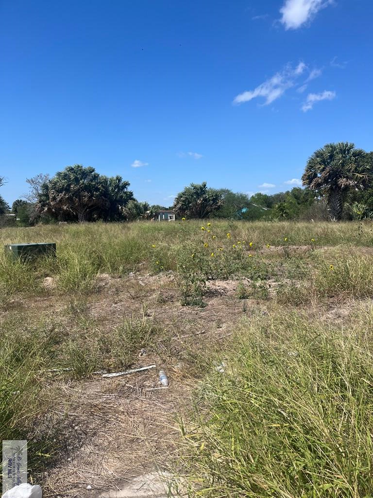 -- Dakota Garden Cir, Brownsville, TX 78521 - #3