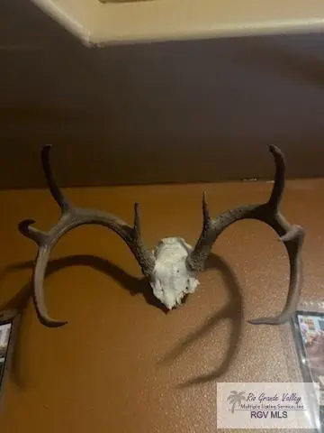 313 Cr 313, Encino, TX 78353 - #3