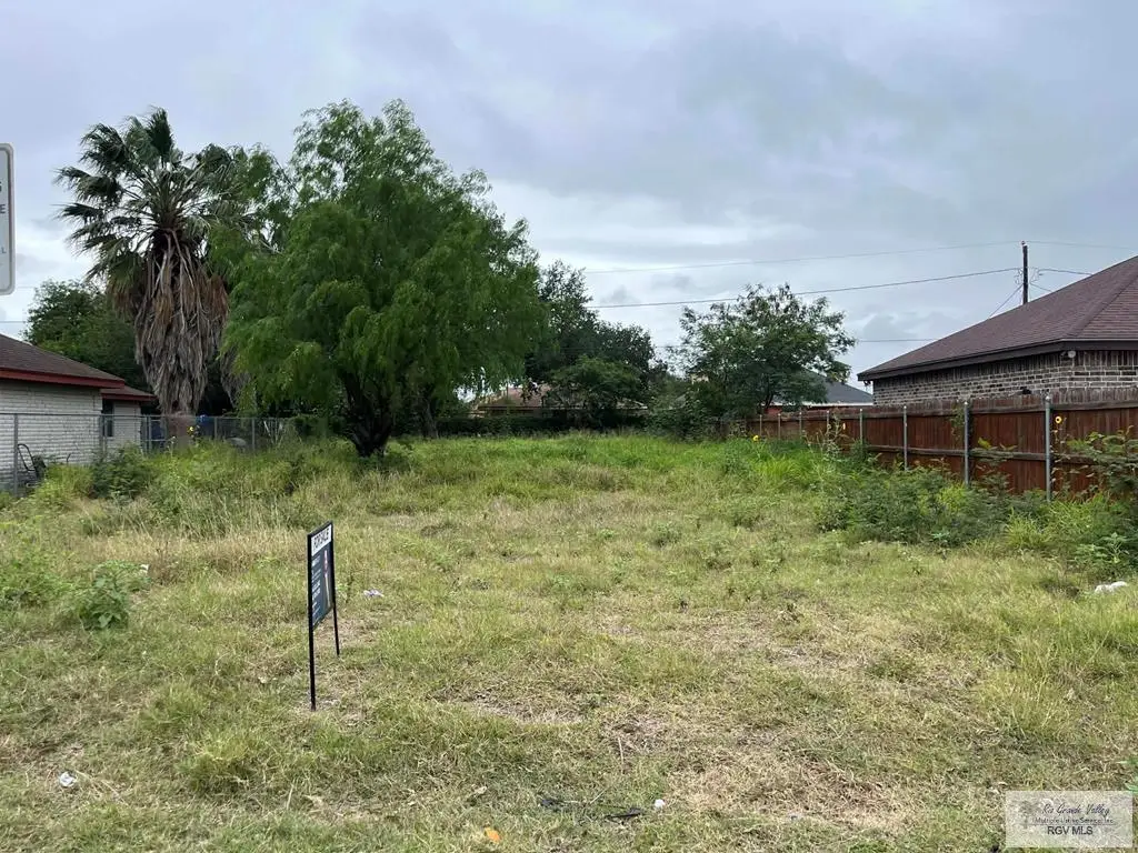 746 Hernandez Dr, Donna, TX 78537 - #1