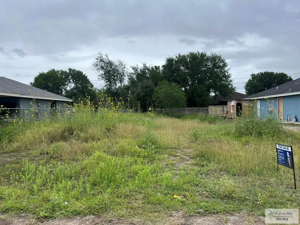 730 Hernandez Dr, Donna, TX 78537 - #1