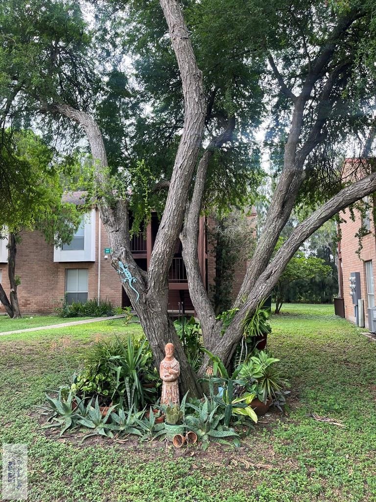 4601 Carmen Ave. #1902, Rancho Viejo, TX 78575 - #2