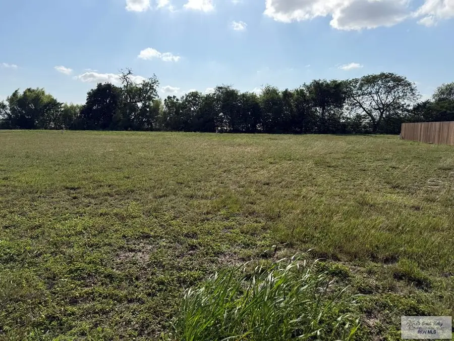 00 Nayeli St, Los Fresnos, TX 78566 - #2