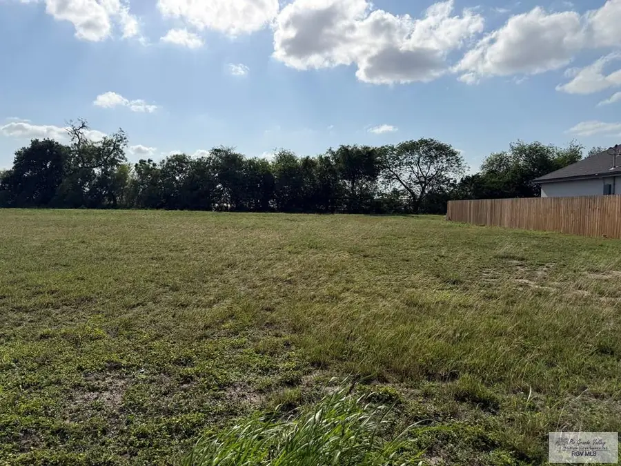 00 Nayeli St, Los Fresnos, TX 78566 - #3