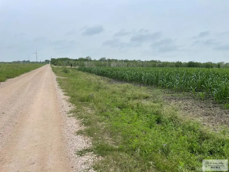 Address Withheld By Seller, Rio Hondo, TX 78583 - #2