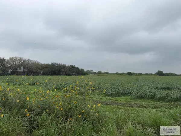 00 Line 26 Rd., RIO HONDO, TX 78583