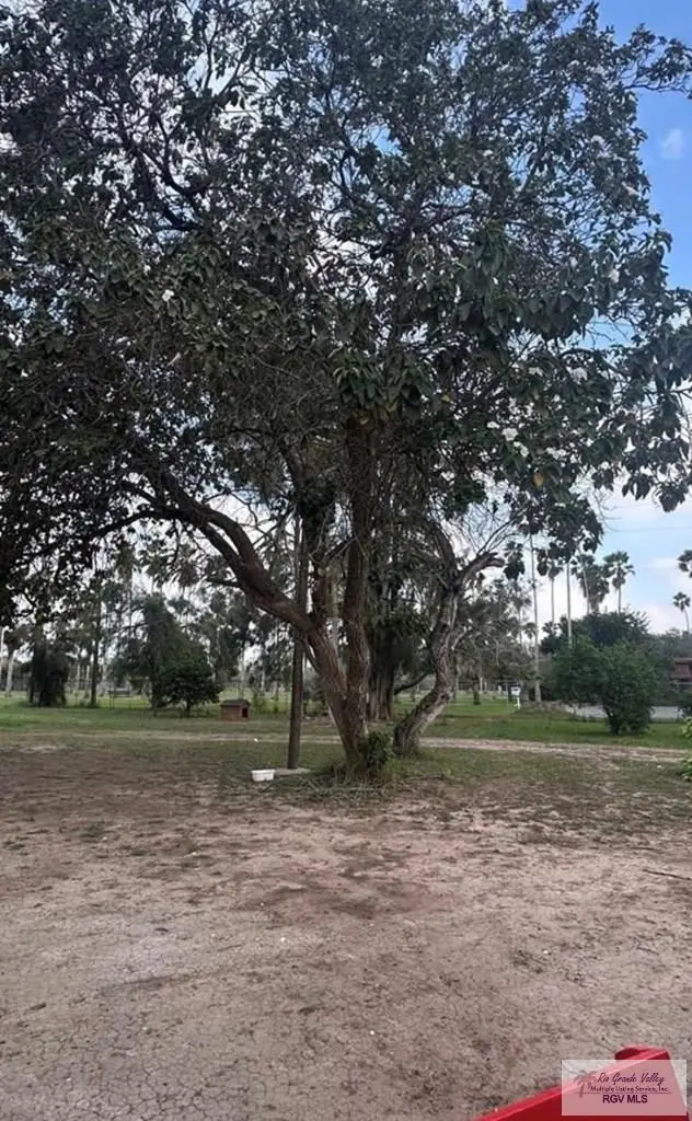 700 Acacia Lake Dr., Brownsville, TX 78521 - #2