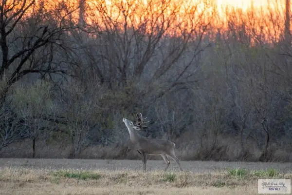 0 Las Brisas Dr, RIO GRANDE CITY, TX 78582