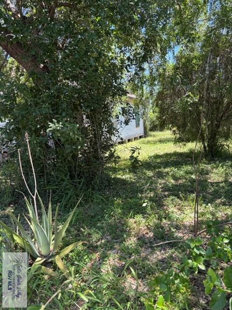919 Heidrick Ave, Mercedes, TX 78570 - #2