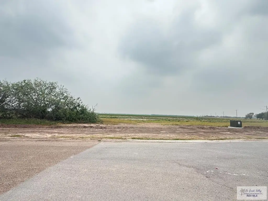 169 Resaca Bend, Rancho Viejo, TX 78575 - #1