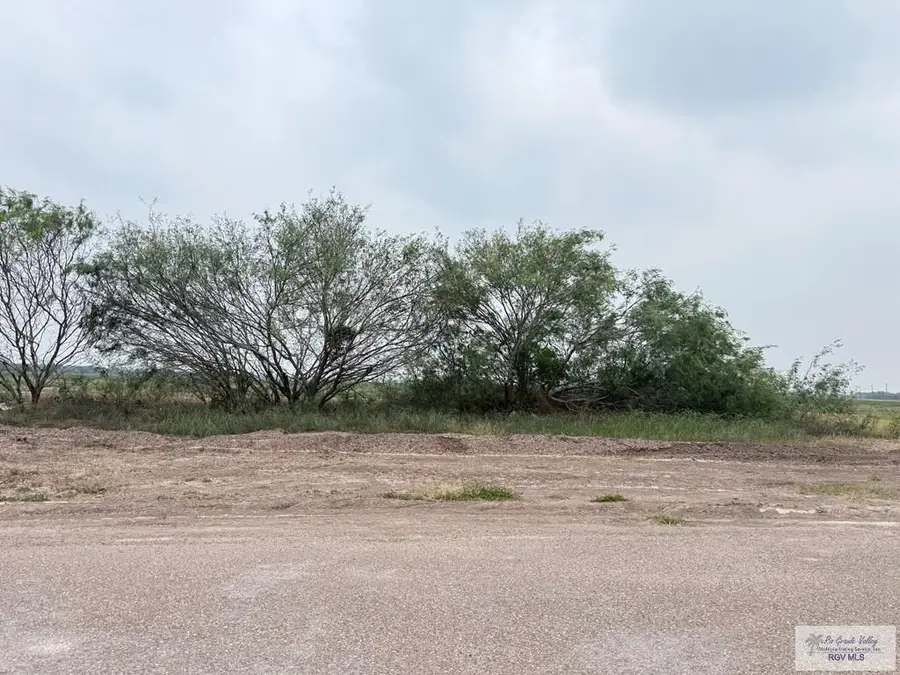 169 Resaca Bend, Rancho Viejo, TX 78575 - #3
