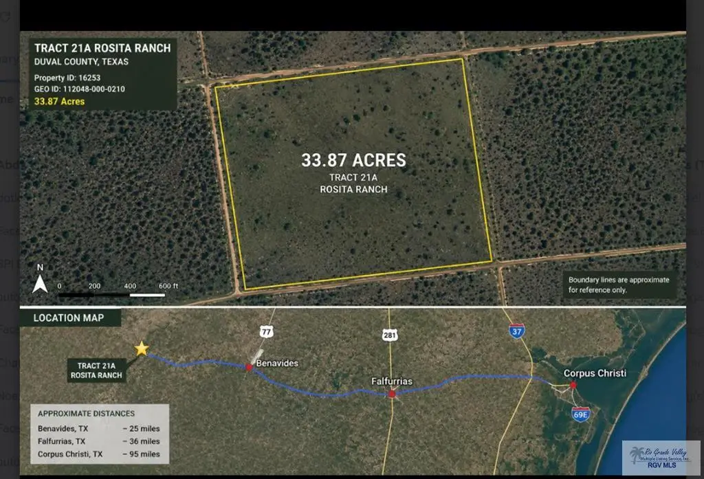 Tract 21A Rosita, Benavides, TX Other - #1