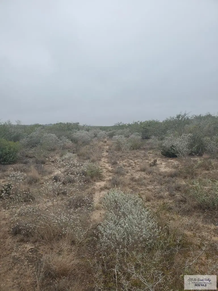Tract 21A Rosita, Benavides, TX Other - #3